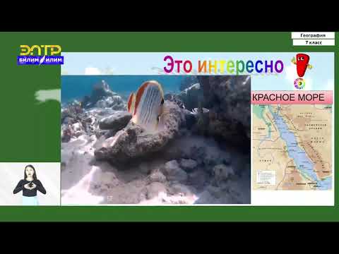 Видео: 7-класс | География | Индийский океан