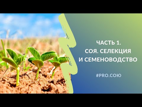 Видео: Часть 1. СОЯ. Селекция и семеноводство | Пять вечеров PRO.СОЮ