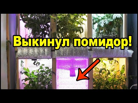 Видео: Фитолампы для растений вред синего спектра