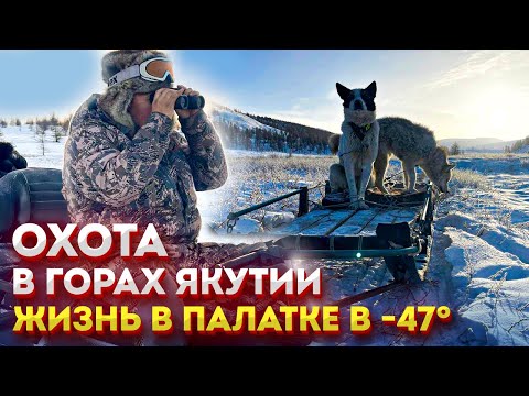 Видео: Охота в Якутии. Жизнь в палатке в -47°С. Якутия