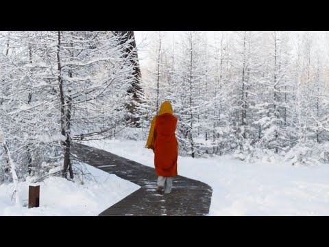 Видео: Обзор большого дома в Naraada Village в Якутии