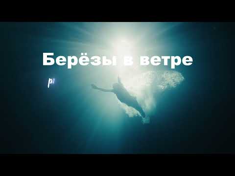 Видео: Берёзы в ветре  Produce by Paul aus Hamburg