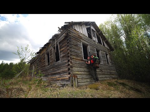 Видео: 3 дня в дикой тайге. Непролазный лес. Хариус на таёжной речке.