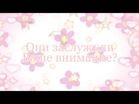 Видео: Они заслужили Ваше внимание..?