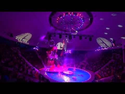 Видео: ЦИРК НА ВОДЕ В ИРКУТСКЕ