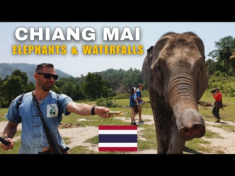Видео: Экскурсия из Чиангмая: парк слонов, водопад и королевские храмы 🇹🇭