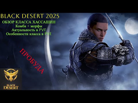 Видео: BLACK DESERT Хассашин Обзор класса + PVE мини гайд #bdo #blackdesert