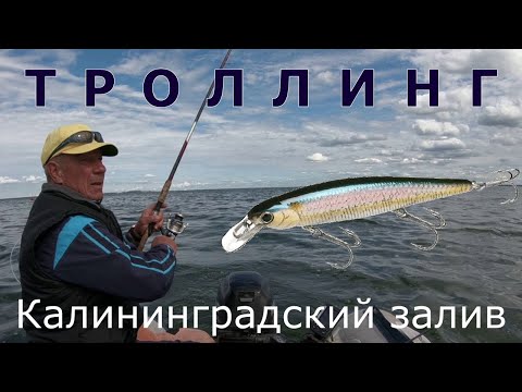 Видео: VLOG: Троллинг. Калининградский залив. Август 2020.