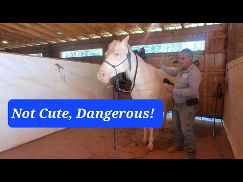 Видео: Нет оправдания опасному поведению.
