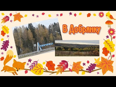 Видео: В Добрянку 4.10.2025 года.