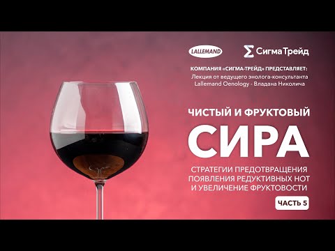 Видео: 🍷🍇Чистый и фруктовый Сира. Часть 5