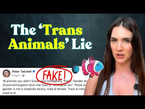 Видео: Разоблачение лжи активистов о трансгендерных животных