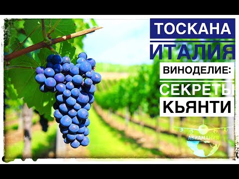 Видео: Италия Тоскана вино: винный тур в Италию и виноделие зоны Кьянти (Chianti Italia) #Авиамания