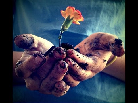 Видео: Твори добро