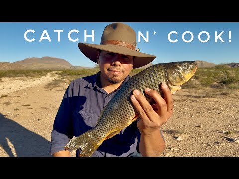 Видео: Готовим карпа и делаем острые рыбные тостадасы! Catch N Cook!