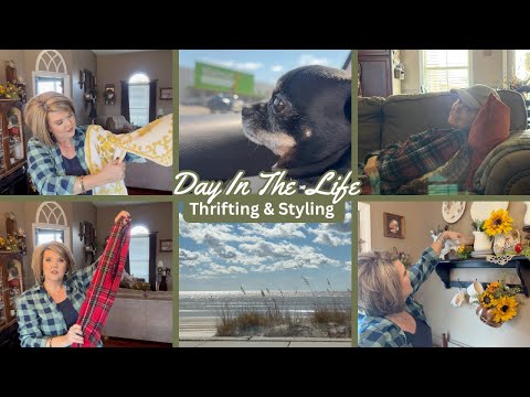 Видео: Thrift With Me | Перевозка, оформление моих находок и уютные дни вместе! #деньвжизни #thrifthaul ...