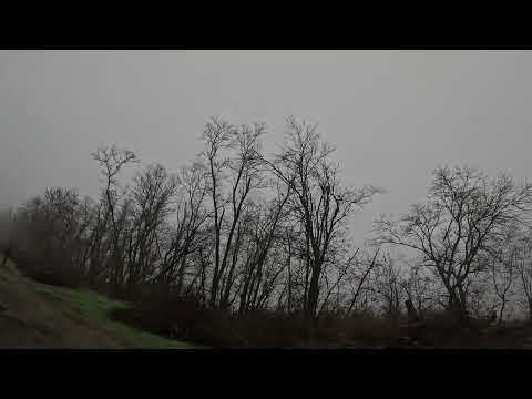 Видео: Точные выстрелы по зайцу 🐇охота на зайца 