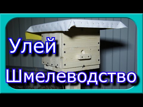 Видео: ШМЕЛЕВОДСТВО НАЧАЛО Улей для шмелейПервое заселение