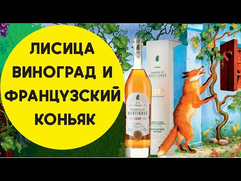 Видео: Французский коньяк Francois de Martignac VSOP