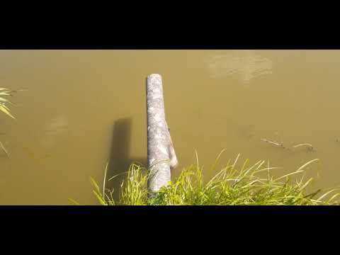 Видео: ЖАРА!!! Замор рыб, как распознать и способы борьбы