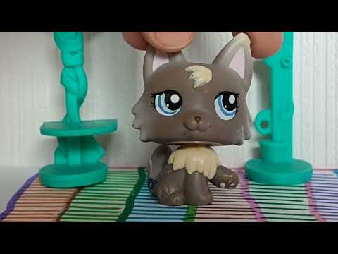 Видео: LPs Распаковка ПЕТА МЕЧТЫ ИЗ ДЕТСТВА