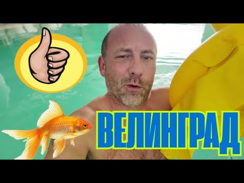 Видео: Стоит ли ехать в Велинград? Честный отзыв.
