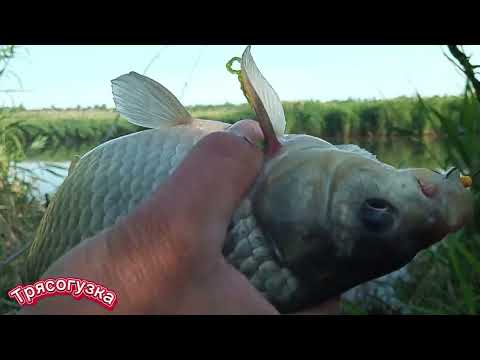 Видео: Карась мастырка пенопласт! 🔥