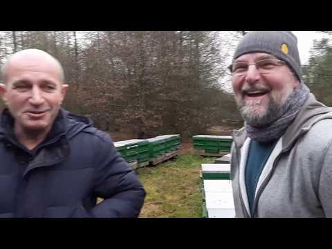 Видео: Промышленное пчеловодство Германии 1200 пчелосемей 1ч.