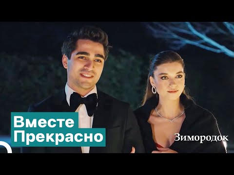 Видео: Цвет Новогоднего Настроения — "Красный" | Зимородок