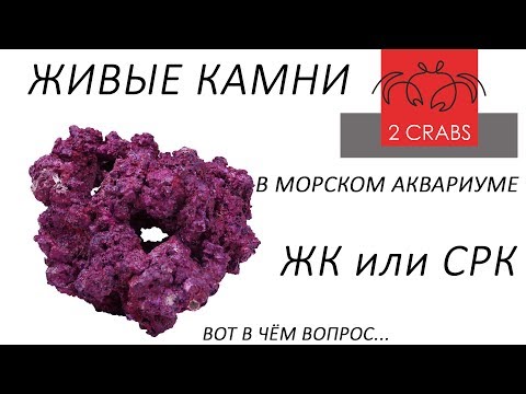 Видео: Живые камни в морском аквариуме.