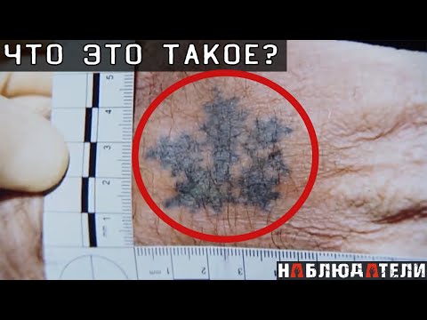 Видео: Идеальное преступление было раскрыто из-за мелочи.