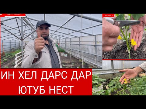 Видео: БИЗНЕСИ БОДРИНГ ДАР ШАРОИТИ ХОНА ИН ХЕЛ МАВЗУЪ ДАР ЮТУБ НЕСТ!!