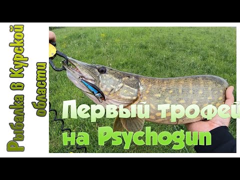 Видео: Первый трофей на Pontoon 21 Psychogun. Щука на Gad Gosh и окуни на Gad Footsie