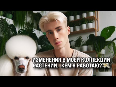 Видео: ИЗМЕНЕНИЯ В КОЛЛЕКЦИИ РАСТЕНИЙ! МОЯ НОВАЯ РАБОТА И ОБЗОР ЗЕЛЕНОЙ СТИЛЬНОЙ КВАРТИРЫ🧚🏻‍♂️💁🏼