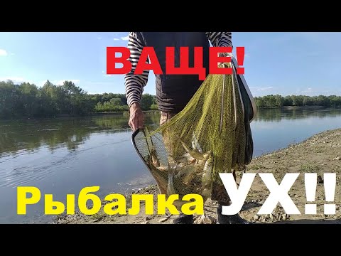 Видео: 6 июня 2025 г.