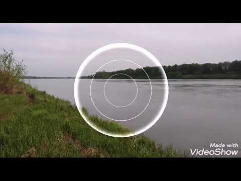 Видео: Рыбалка на Оке в Касимовском районе.