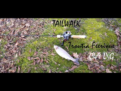 Видео: Форель на заброшенной ферме. Tailwalk Troutia Feerique C49 L\G.