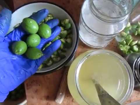 Видео: ЛЕКАРСТВЕННАЯ НАСТОЙКА ИЗ ГРЕЦКОГО ОРЕХА.