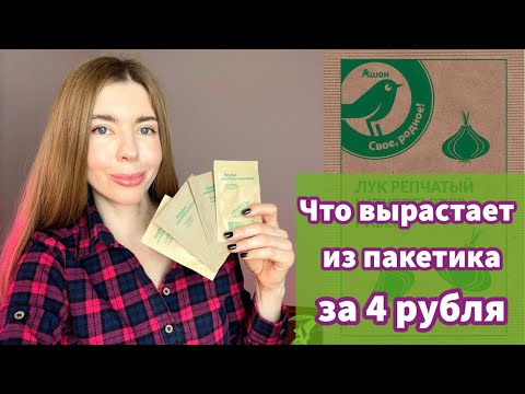 Видео: САМЫЕ ДЕШЕВЫЕ СЕМЕНА ИЗ АШАНА. Можно ли что-то вырастить из них