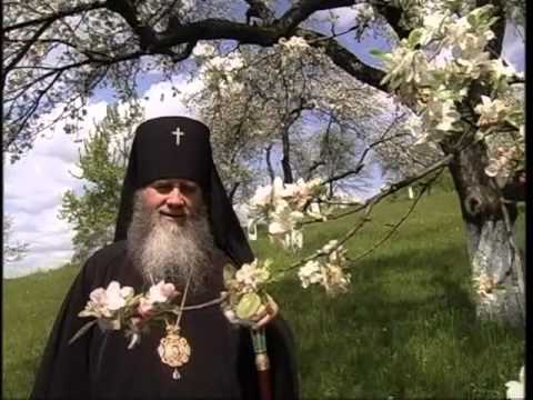 Видео: Гора Боголюбивих ангелів