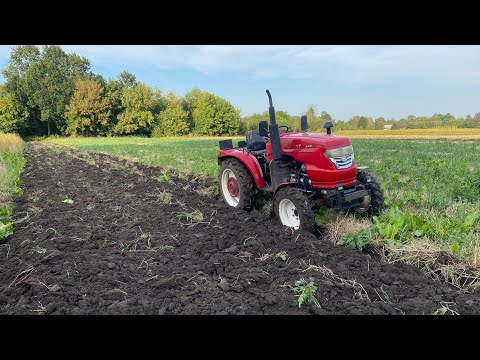 Видео: Оранка по сухому тракторами Сінтай 244 та Дмтз 504👍🇺🇦🌾