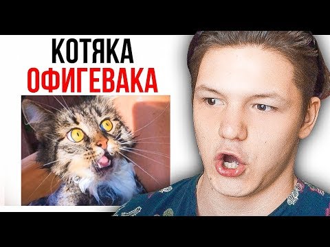 Видео: ЛЮТЫЕ ПРИКОЛЫ. РОФЛИМ И КРИНЖУЕМ