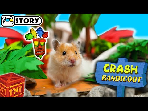 Видео: Хомяк в лабиринте Crash Bandicoot 🐹 Хомура Хам Питомцы