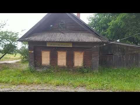 Видео: Трехдневный поход по югу Кировской области . Суводско-зашижемские леса . 13-15 июль 2022 .