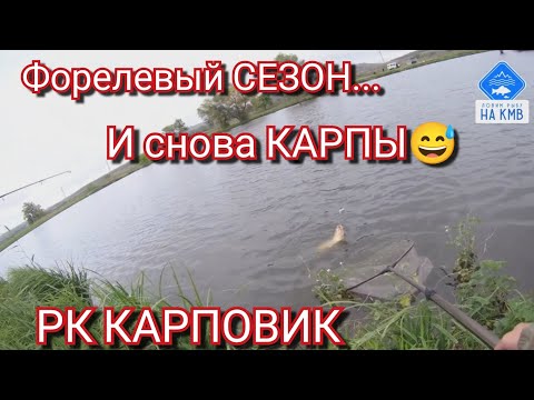 Видео: Ехал на форель, а поймал карпа😉. РК КАРПОВИК. Рыбалка в Ставропольском крае.