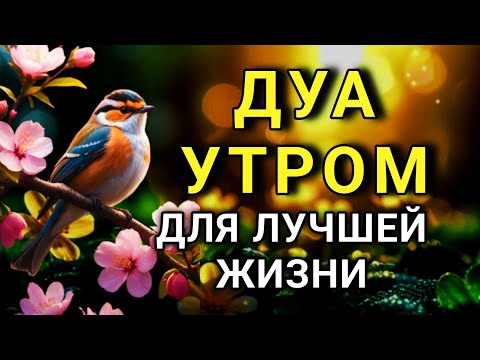 Видео: ДУА, КОТОРОЕ МЕНЯЕТ ВСЮ Твою ЖИЗНЬ! 🤲✨🔑💯