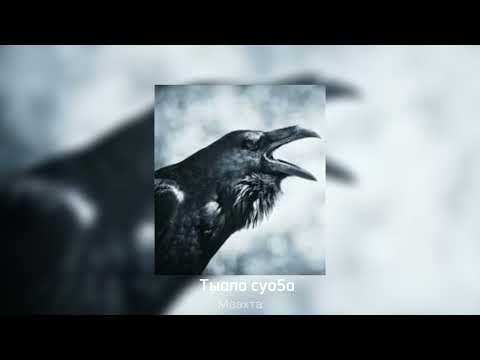 Видео: Маахта - Тыала суохха (2024)