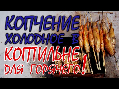 Видео: ХОЛОДНОЕ КОПЧЕНИЕ РЫБЫ В КОПТИЛЬНЕ ДЛЯ ГОРЯЧЕГО КОПЧЕНИЯ