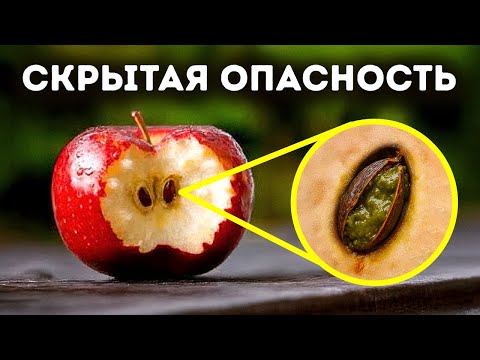 Видео: Секреты питания, которые могут спасти вашу жизнь и деньги