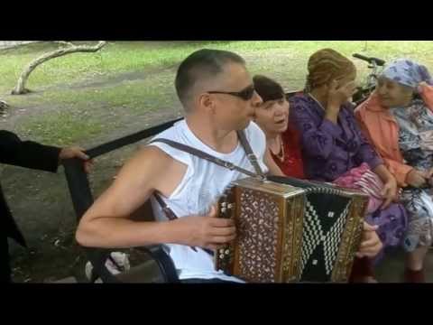 Видео: Ой калина, ой малина, под гармонь